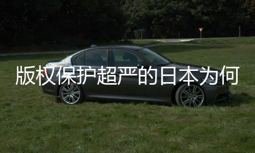 版权保护本为人文何同化盛灰色二创的日地带揭秘超严业界行