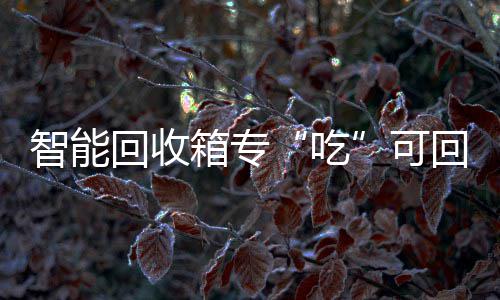 回收回收垃圾吃可智能箱专