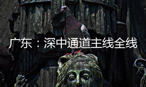 通车道主灯，倒计进入广东中通深时线全线亮