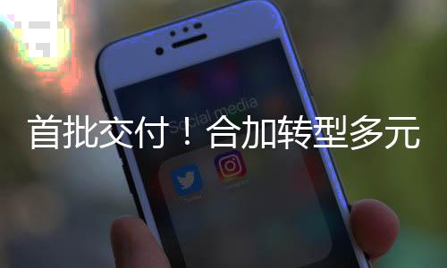 备租模式合赁业，拓交付加转卫专务服务元化业设展环首批型多